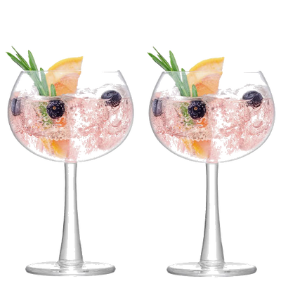 lsa signature gin 2 balloon glasses