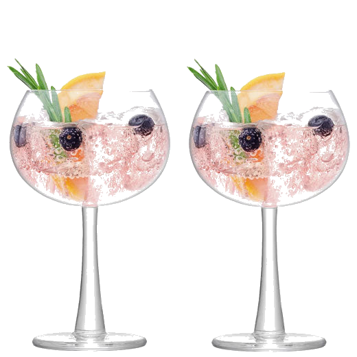 lsa signature gin 2 balloon glasses