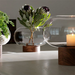 lsa oblate large clear vase with walnut base lifestlye