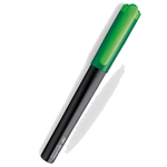 lamy slytherin nexx fountain pen1