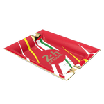 st dupont ashtray red and g