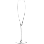 lsa flutes champagne