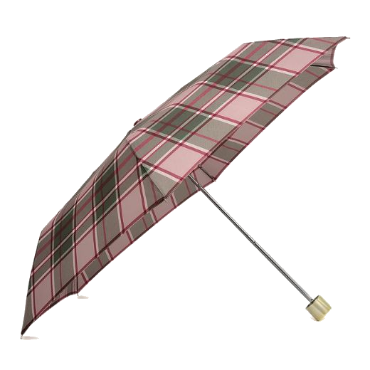 u530302 radley autumn check umbrella