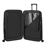 interior spinner case