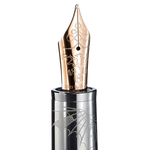 leo tolstoy fountain pen 1