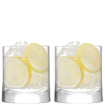 lsa signature gin tumblers set of 2