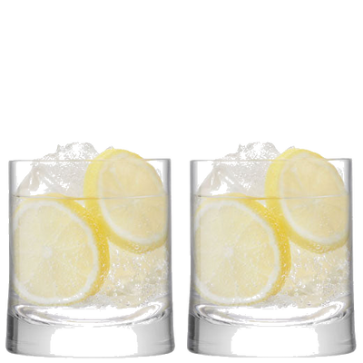 lsa signature gin tumblers set of 2