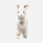 Front view of Cosy Alpaca stuffed animal by Steiff.