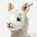 Close up of Cosy Alpaca stuffed animal by Steiff.