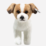 Front View of Terrie Dog by Steiff.