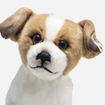 Close Up View of Terrie Dog by Steiff.