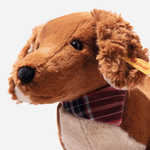 Close Up View of Waldi Dachshund from Steiff.