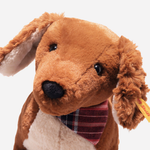 Close up Front View of Waldi Dachshund from Steiff.
