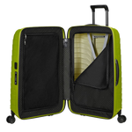 proxis lime spinner case 69