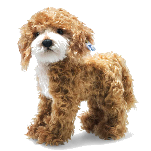 This is Ricky the Cockapoo designed by Steiff.