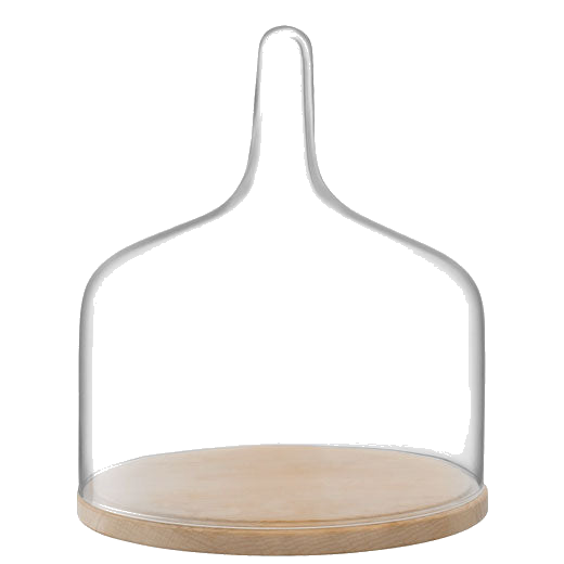 lsa signature cloche large dome with oak base