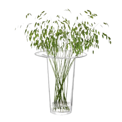 vc11 lsa victoria 45cm vase2