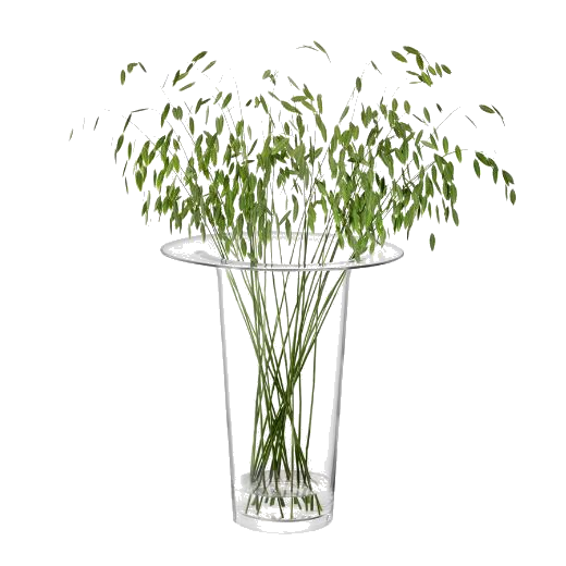 This LSA Victoria Clear Glass Vase Lantern 45 cm is great for large bouquets of flowers or a bunch of dried florals.