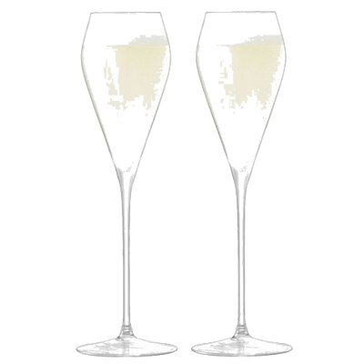lsa set of 2 signature wine prosecco glasses