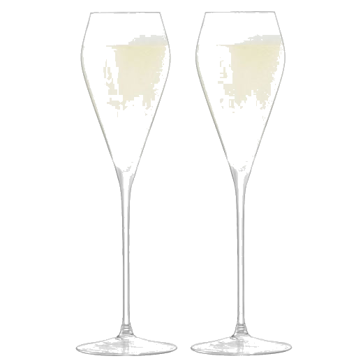 lsa set of 2 signature wine prosecco glasses
