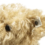 rms steiff 1907 teddy
