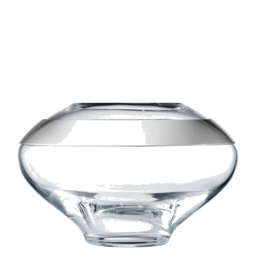 This is the Georg Jensen Mouth-Blown Glass & Stainless Steel Small Duo Vase.