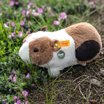 steiff dalle teddies for tomorrow guinea pig lifestyle
