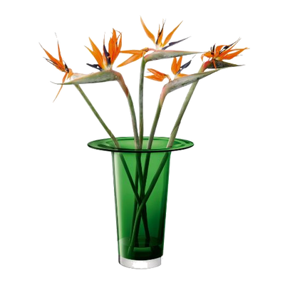 vc12 lsa victoria 45cm green vase2