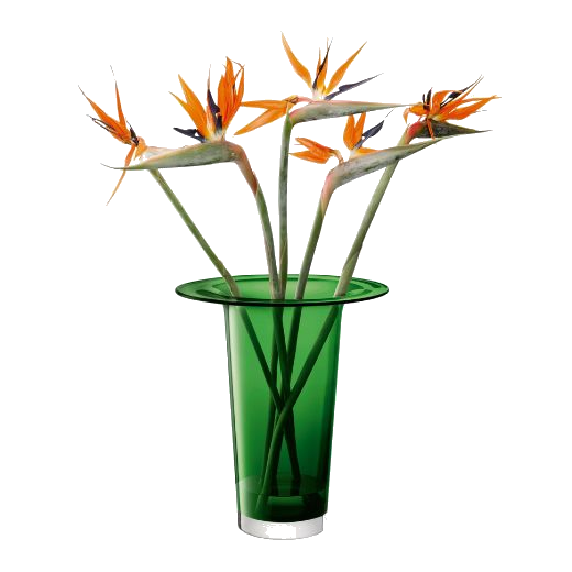 This Victoria Fern Green Glass Vase Lantern 45 cm by LSA looks great with contrasting colours such as a bouquet of orange flowers.