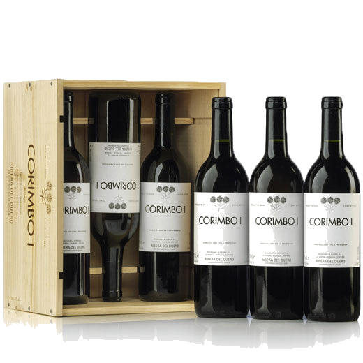 These are the Bodegas La Horra Corimbo I 2013 6x75cl bottles of wine.
