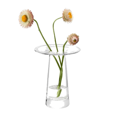 vc01 lsa victoria clear 15 cm vase
