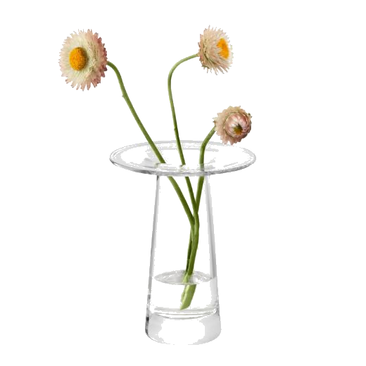 This Victoria Clear Glass Vase 15 cm by LSA looks great on a table top or mantelpiece.