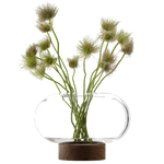 lsa oblate large clear vase with walnut base plant