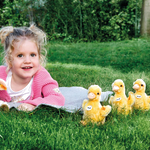 steiff pilla the duckling lifestyle