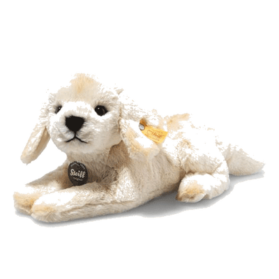 lenny labrador