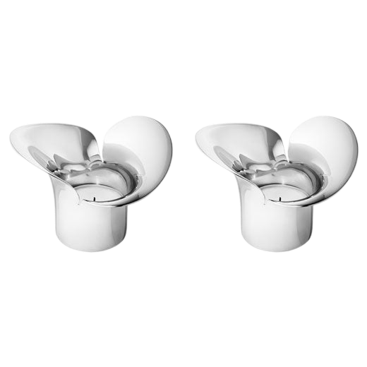 Stainless Steel Bloom Botanica Tealight Holders