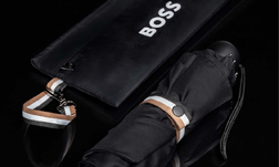 BOSS ACCESSORIES