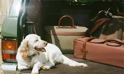 Purdey LEATHER & TRAVEL