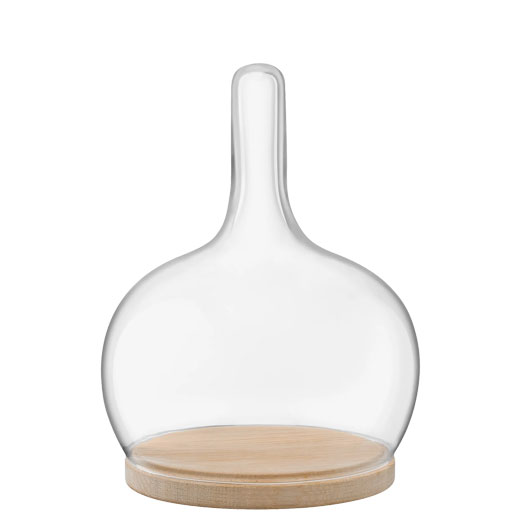 Signature Cloche Small Dome with Oak Base