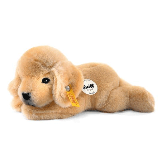 Lumpi the Golden Retriever Puppy